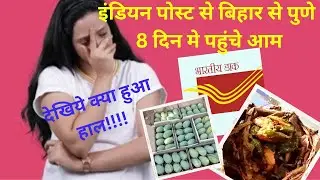Indianpost Parcel Service Review Feedback Mangoes From Bihar to Pune in 8 Days How is The Condition?