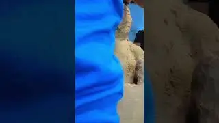 AMAZING Dinosaur Sand Sculpture!  | JURASSIC WORLD