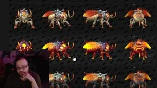 First Look WoW TWW Mount Models