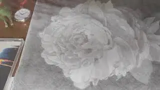 Photo reproduction of peony 9