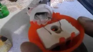 DIY fumigator repair, mosquito trap...