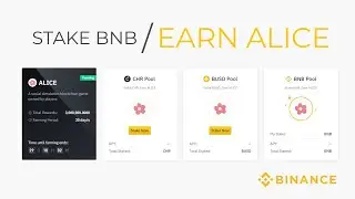 Cara Staking ALICE di Binance Launchpool | Stake CHR/BUSD/BNB, Earn ALICE | Passive Income 2021
