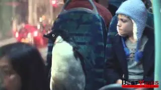 Каждому нужна вторая половинка