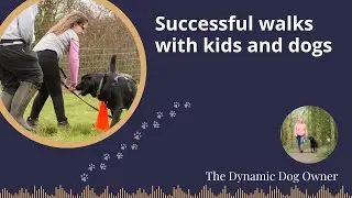 Eps 71. Successful walks with kids and young dogs