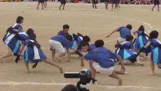 徳山高校　体育祭 2016　青組