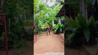 Unplayble cricket bowling 😱😱 #shorts