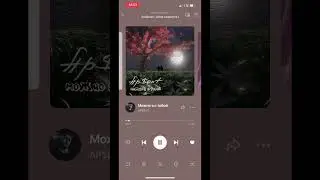 «Можно я с тобой» - на гитаре #гитара #можноястобой #Ap$ent
