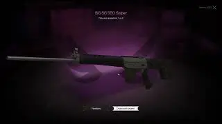 SIG 550 Sniper с 1 кейса