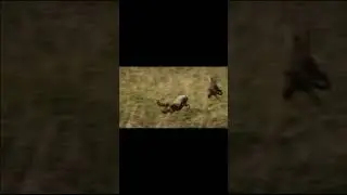 Это не меня закрыли с вами а Вас со мной!