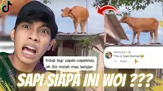 THE RILL SAPI - DERMAN ‼️