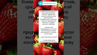 хорошенькая домохозяйка 