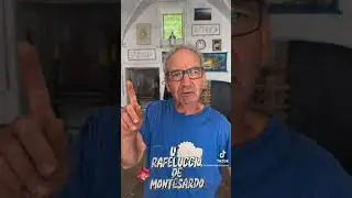 Il gorilla evaso