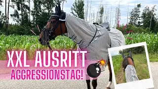 STALLVLOG MIT AGGRESIONS AUSRITT!😤