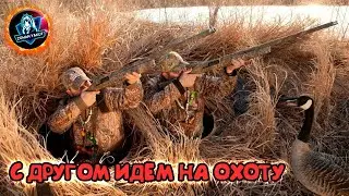 С ДРУГОМ ИДЕМ НА ОХОТУ / Стрим по Call оf the wild