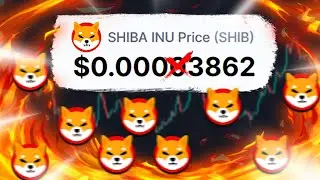 SHIBA: ПОДАРОК ОТ СОЗДАТЕЛЯ ШИБА! ГРАНДИОЗНЫЕ НОВОСТИ