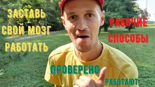 Заставь свой мозг работать. Лайфхаки из книги. Повысить эффективность, быть успешнее. Место силы