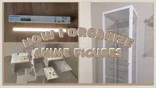 💖 Organizing My Anime Figure Collection!💖