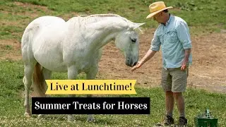Live at Lunchtime: Summer Treats for Horses