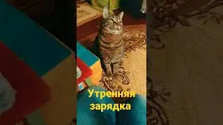 Утренняя зарядка 😊