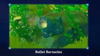 How to blast a bullet barnecles on Fontain underwater cannons