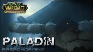 Protection Paladin Basic Tank Guide