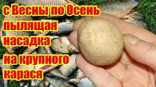 Насадка на Карася. Рыболовная насадка для карася. На что ловить карася весной