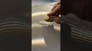 Glue Pulling Aluminum: How PDR is Done 