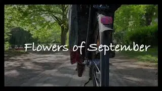 The Tangerine Club.     “Flowers of September “