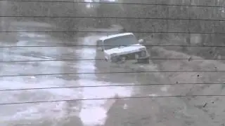 заплыв на ниве