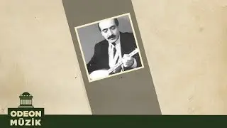 Muhlis Akarsu - Ah Neyleyim Gönül (45'lik)