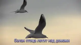 ДДТ-2020. С текстом.