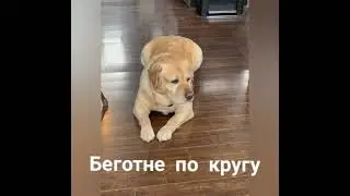 15 апреля 2024 г.