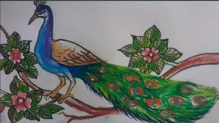 How to draw a peacock step by step | ময়ূর আঁকার সহজ পদ্ধতি