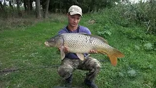 РЫБАЛКА НА КАРПА  ЛОВЛЯ НА ФЛЭТ ФИДЕР Flat Feeder