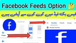 facebook favourite option How to manage Facebook favourite option 2024