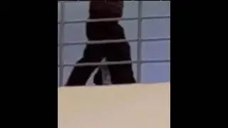 KECIDUK NGENTOD DI ATAS GEDUNG