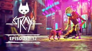 CAT FINALLY ESCAPED- #12 | STRAY | CAT GAME | AVON SPARSH