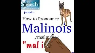How to Pronounce Belgian Malinois
