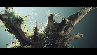 Rebirth   -- Blender Animation --