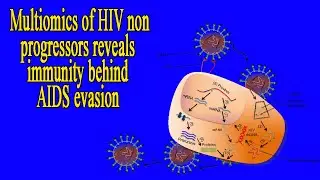 Multiomics of HIV non progressors reveals immunity behind AIDS evasion