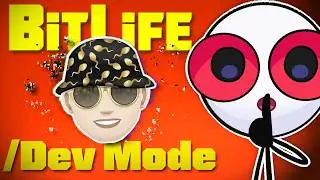 BitLife, But I have Admin Commands