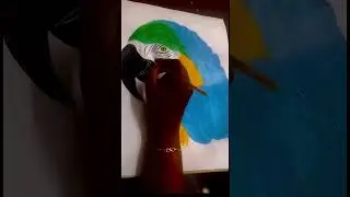 Makaw acrylic painting 