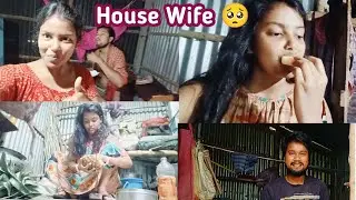 বউ মানুষের বৃদ্ধি হলে যেটা হয় | House Wife Daliy vlog 🥰 #sanatdashamivlog