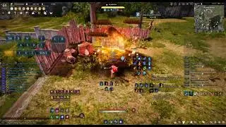 BDO Witch Succession - Sample PvE Grind Combo (Outdated)