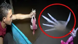 10 ЖУТКИХ МОНСТРОВ СНЯТЫХ НА КАМЕРУ