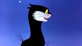 Старый чёрный кот вспоминает молодость...
