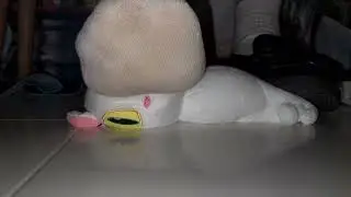 2 Weeks worn Stinky Japanese Schoolgirl socks trample Daijin doll