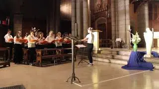 Omni die dic Mariæ - Grzegorz G. Gorczycki - CDCM