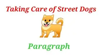 paragraph :: Taking Care of Street Dogs #Englishdelight