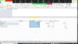 Automating spreadsheets in excel from Tally
